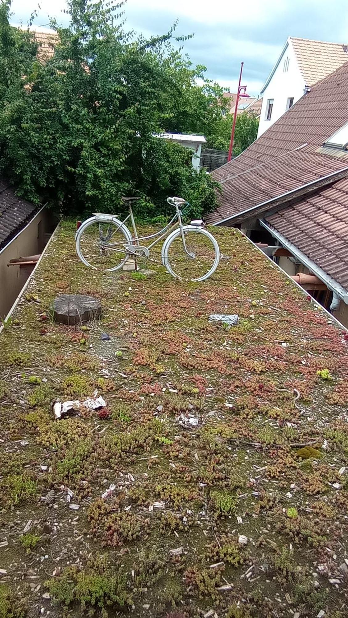 Garden Duplex Leilighet Sundhoffen Eksteriør bilde